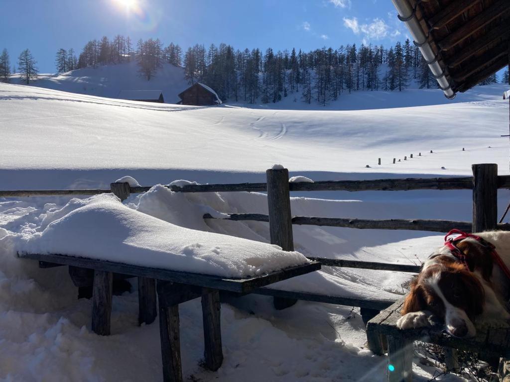 Appartementhaus Reiter Village Room Altenmarkt im Pongau Esterno foto